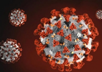 42d5f3eb-06d4-4bc0-9f86-d6977ab91541-coronavirus.