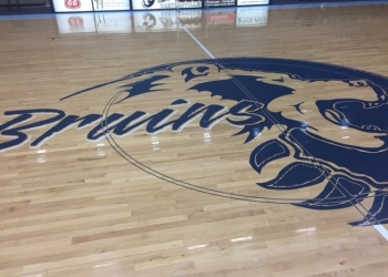 Basketball-Bruin.