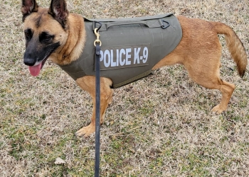 barnsdall-police-dog.