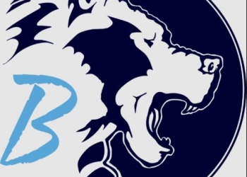 bpsd-logo-small