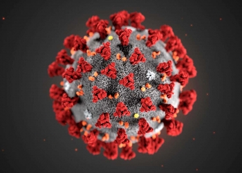 c0481846-wuhan_novel_coronavirus_illustration-spl.