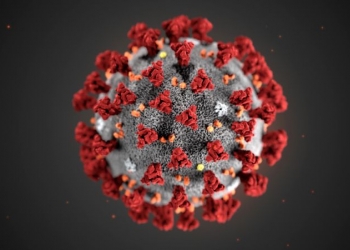 coronavirus-2