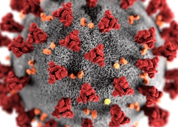 coronavirus-cdc-image