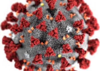 coronavirus