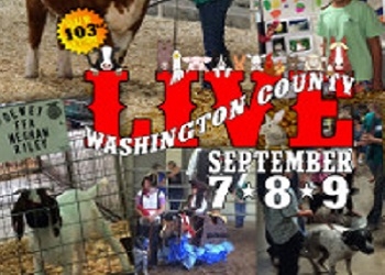 county-fair-book.