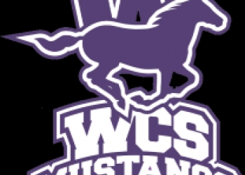 logo-mustang