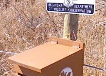 quail-wing-donation.