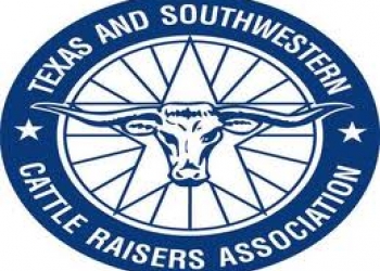 texas-cattle-logo