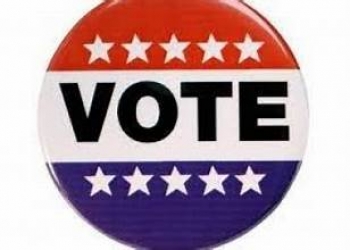 vote.