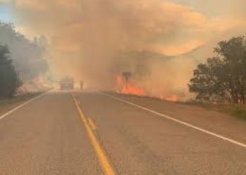 wildfire-by-highway.